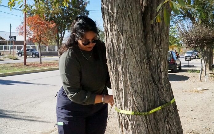 Censo-de-Arbolado-Urbano-1-1536x960