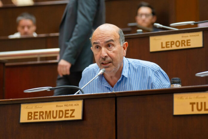 Marcelo Bermúdez