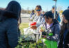 Se viene un Eco Canje gigante por un día especial