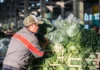 Verduras a precio mayorista, también los sábados